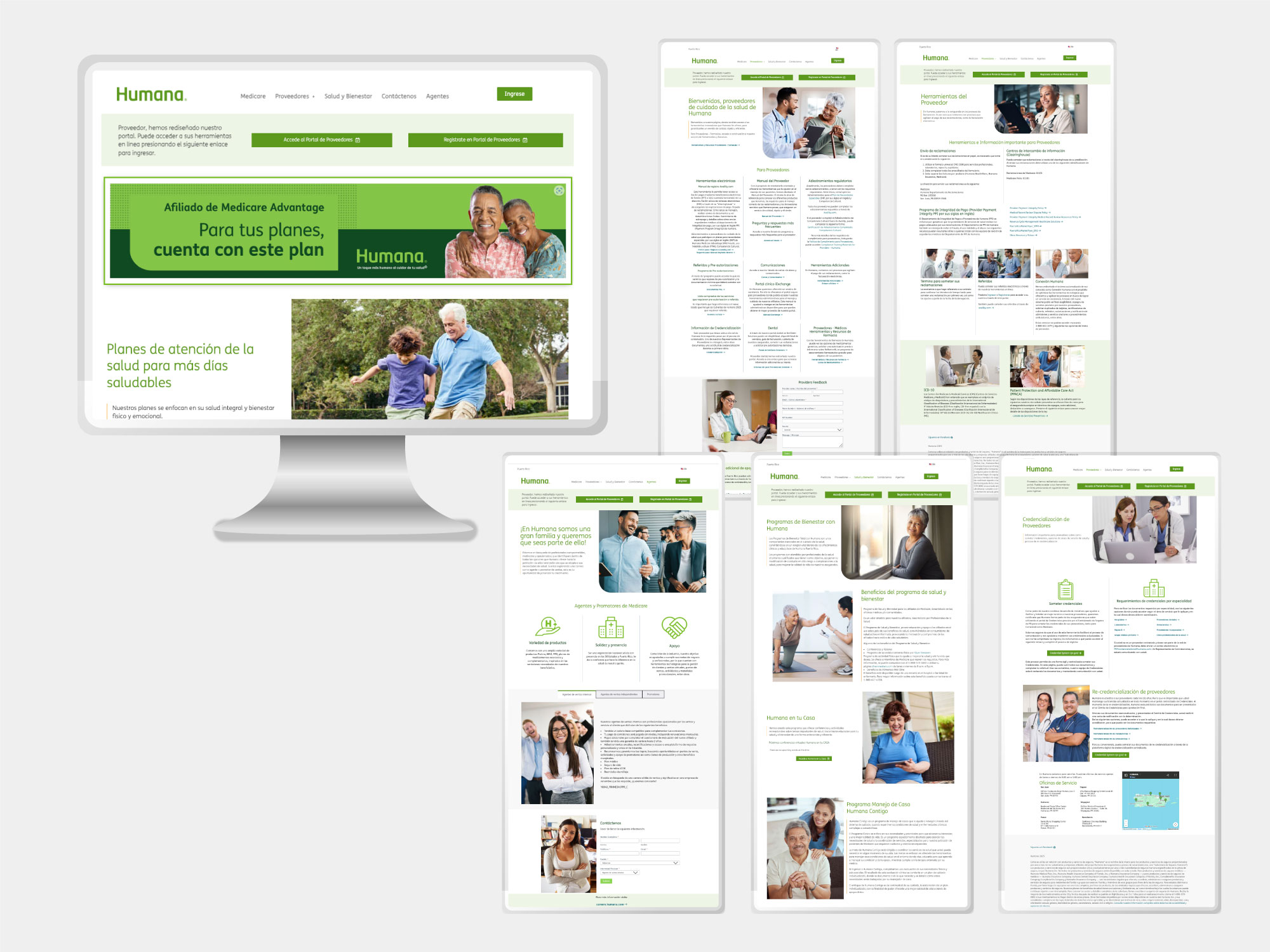 WordPress Web Design